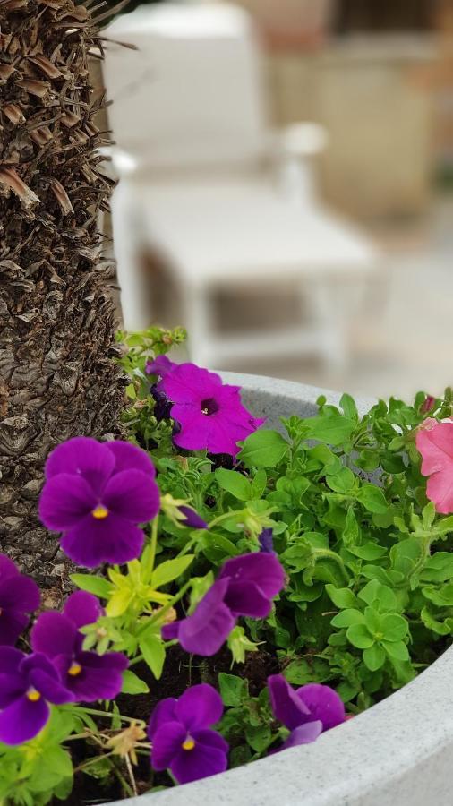 Casa Vacanze Rosa Camastra Esterno foto